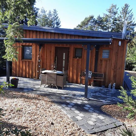 Ferienhaus Leon Mit Sauna Rehburg-Loccum 외부 사진
