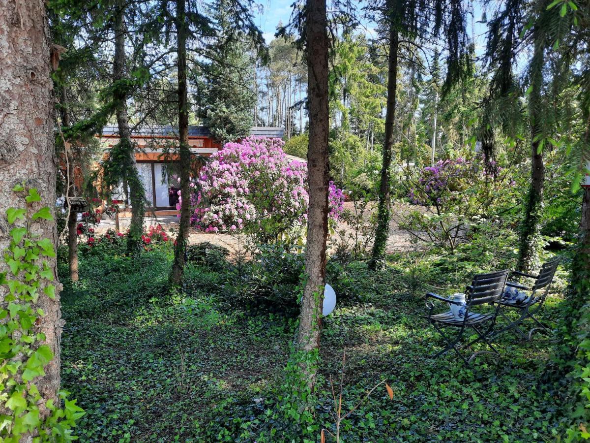 Ferienhaus Leon Mit Sauna Rehburg-Loccum 외부 사진