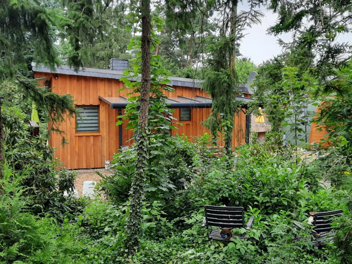 Ferienhaus Leon Mit Sauna Rehburg-Loccum 외부 사진