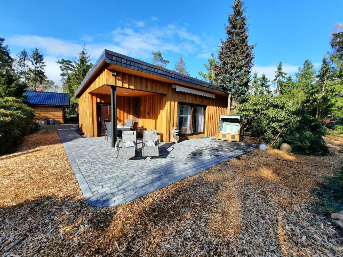 Ferienhaus Leon Mit Sauna Rehburg-Loccum 외부 사진