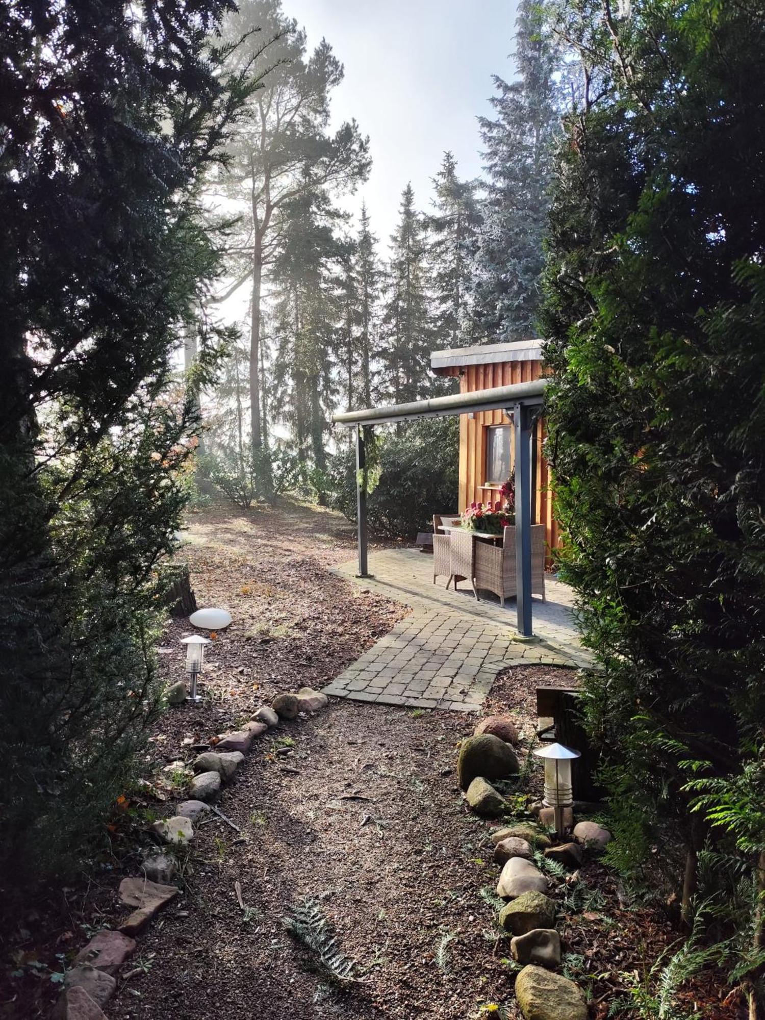 Ferienhaus Leon Mit Sauna Rehburg-Loccum 외부 사진